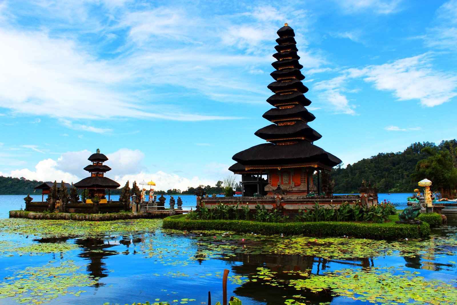 Read more about the article Bali