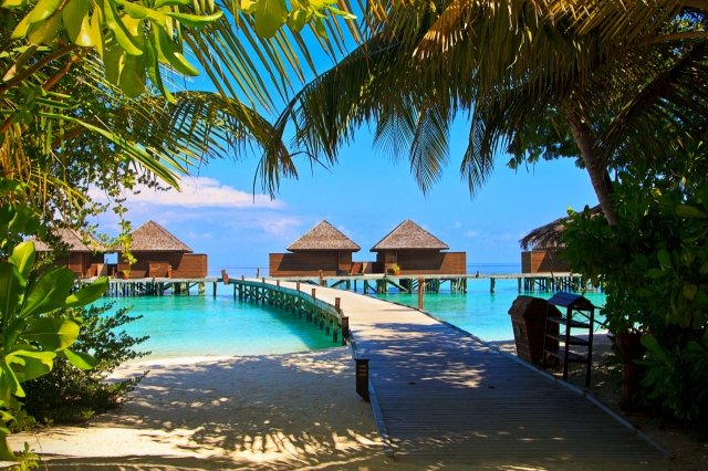 Read more about the article Maldives